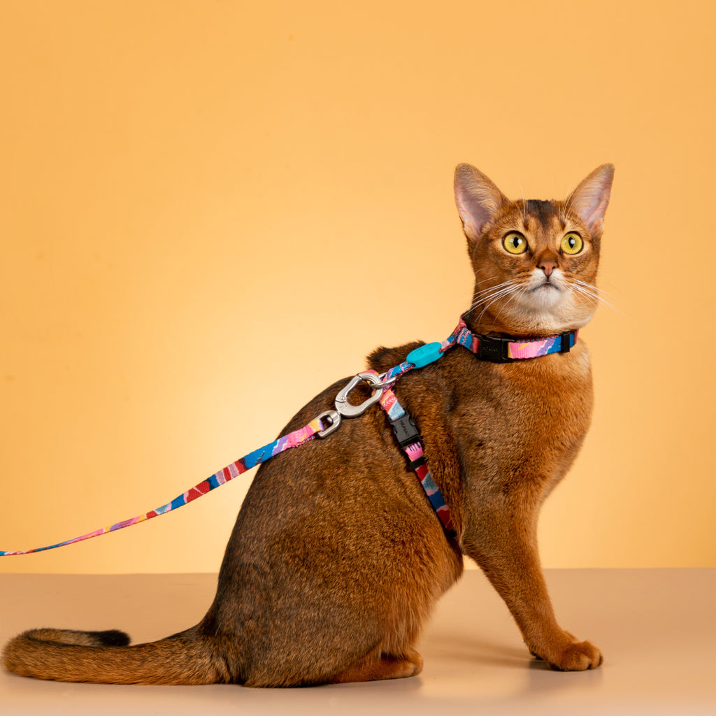 Color Castle Cat Harness and Leash Set Canada US