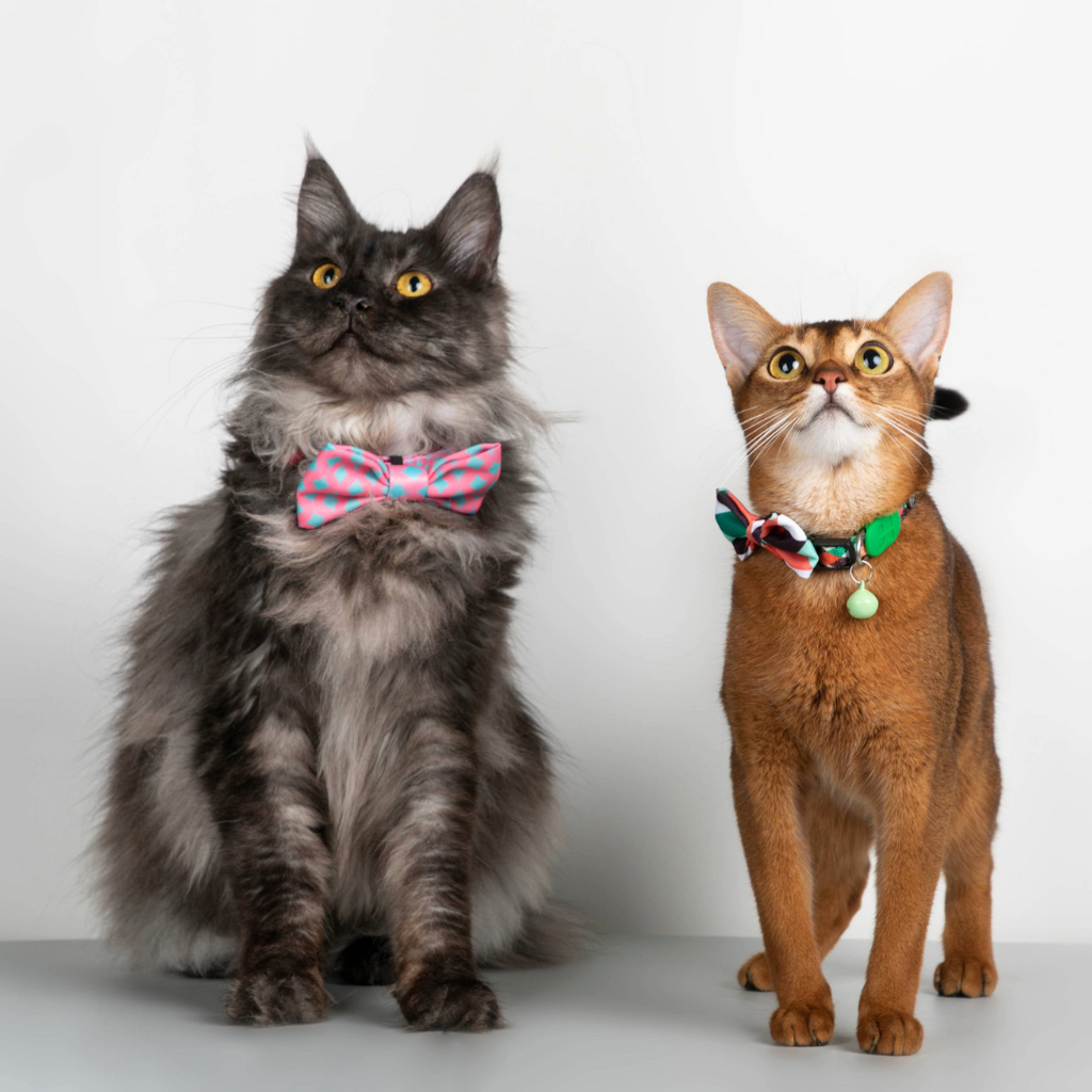 Dog and Cat Cute Colorful Collection Bow Ties Canada US