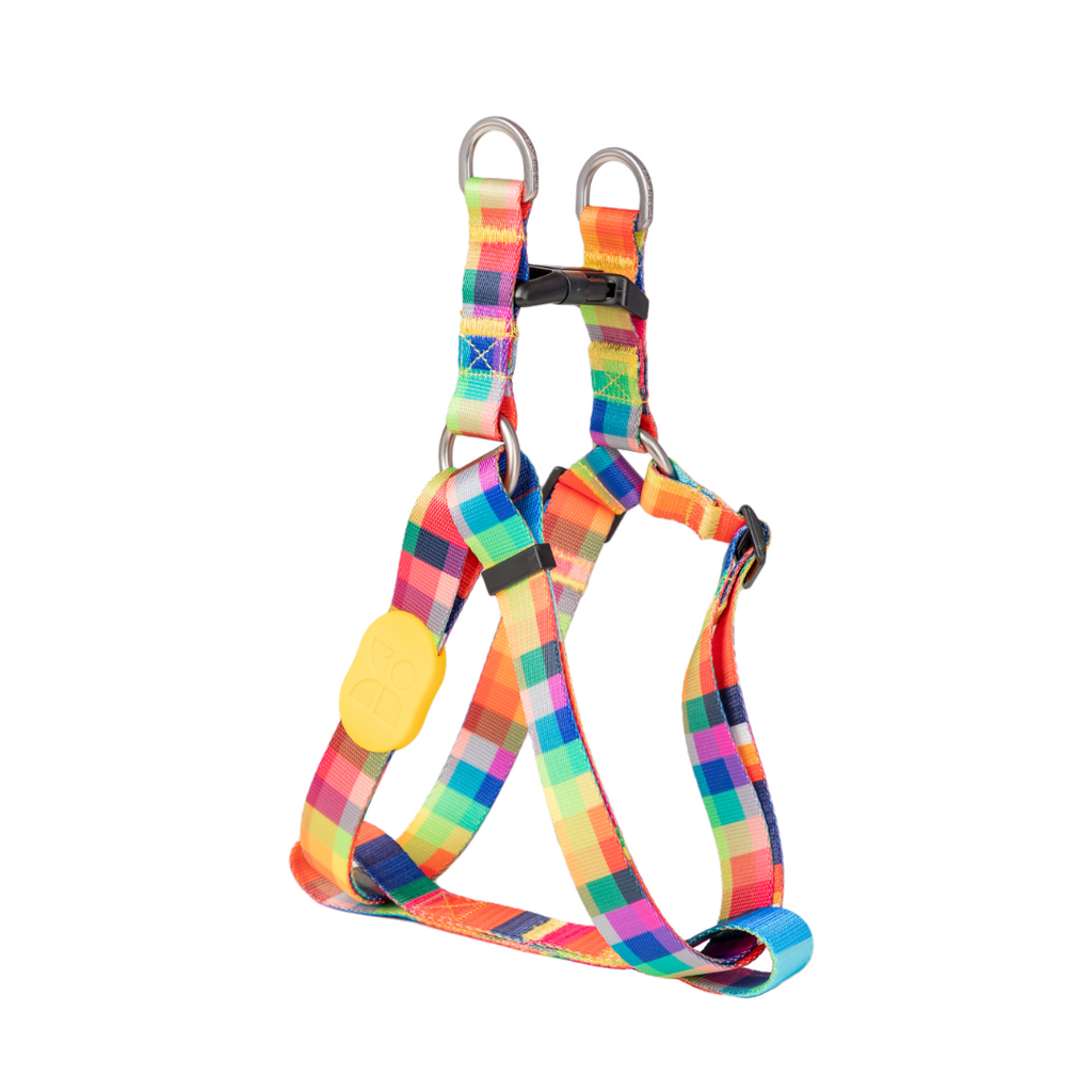 Cute Colorful Collection Type Y Dog Harness Prague