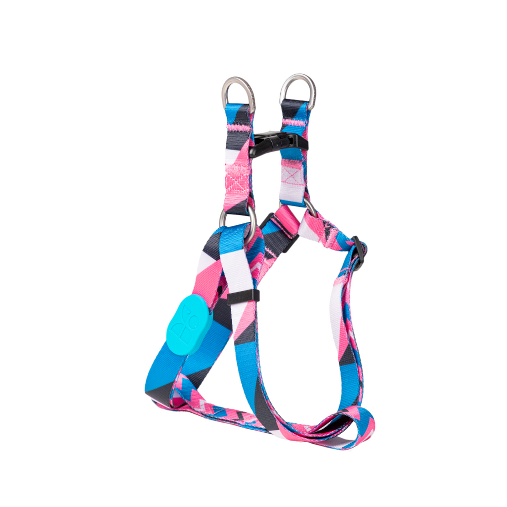 Cute Colorful Collection Type Y Dog Harness Saint Lucia