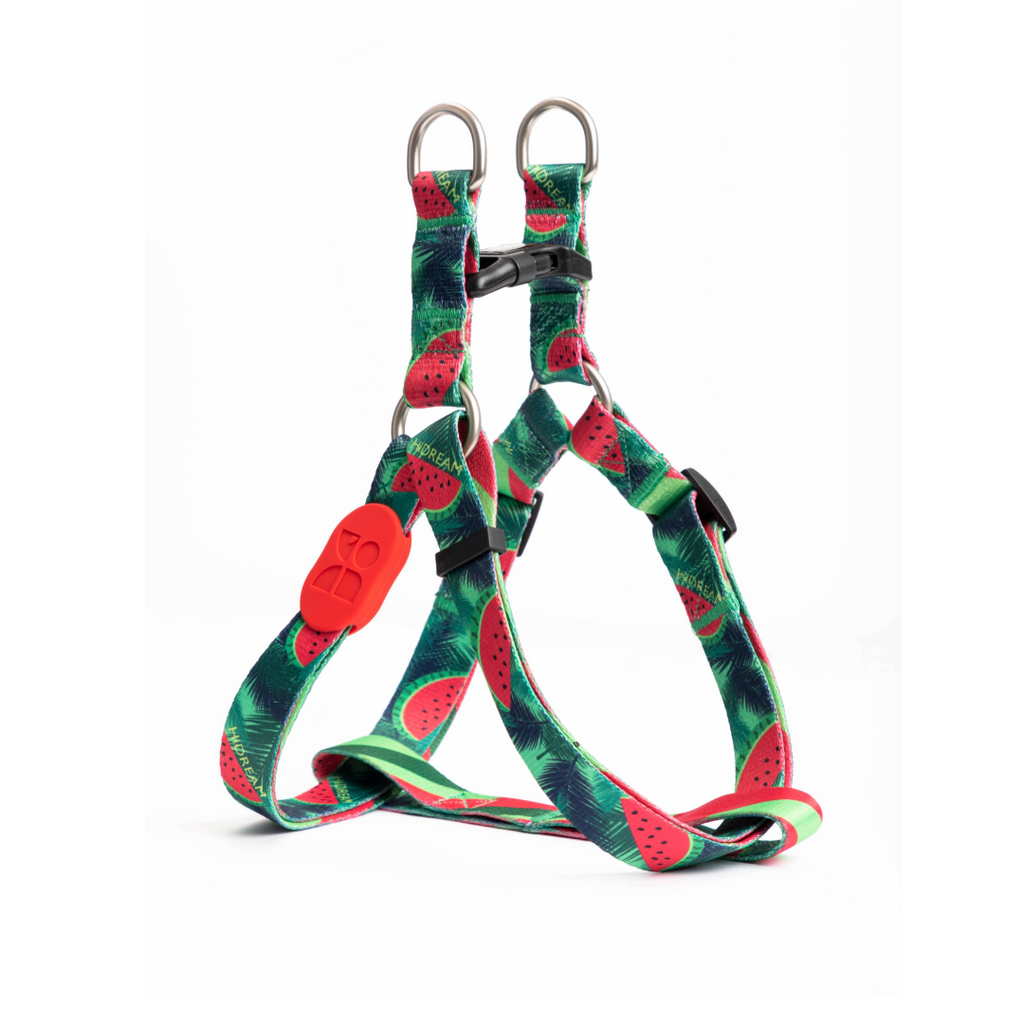 Cute Colorful Collection Type Y Dog Harness Watermelon