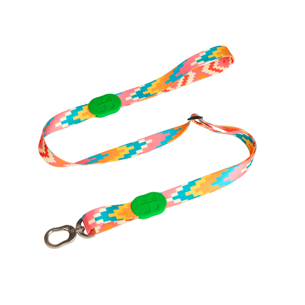 Cute Colorful Collection Dog Leash Florida