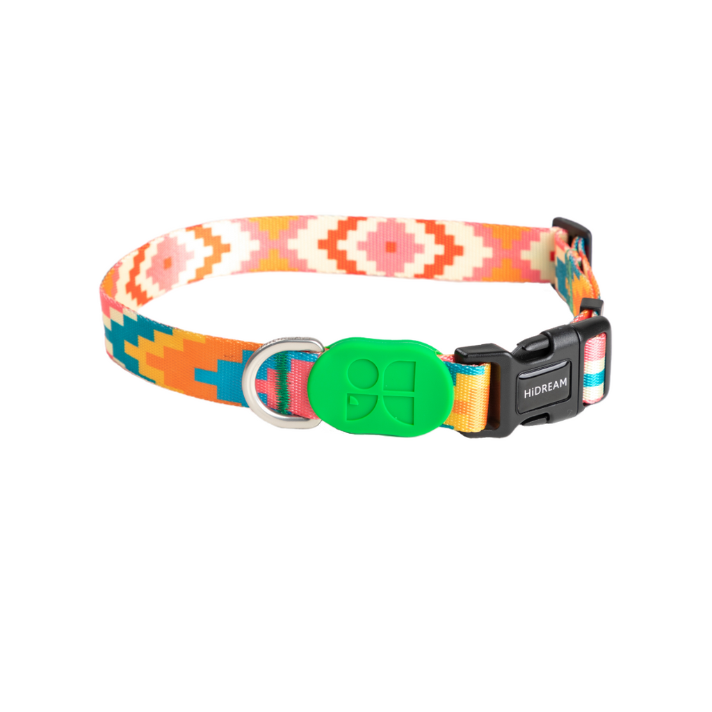 Cute Colorful Collection Dog Collar Florida