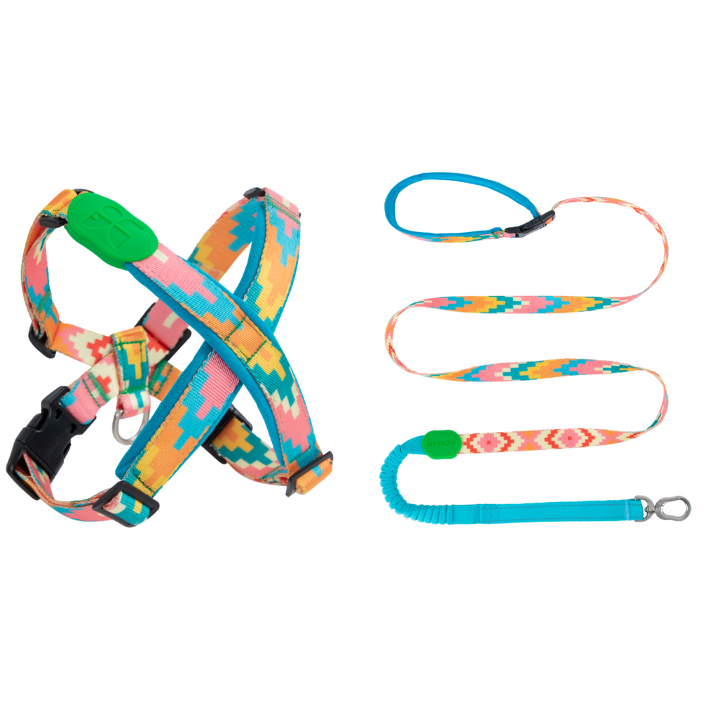 Fashion Pro Adjustable Type X Dog Harness and Leash Florida Set