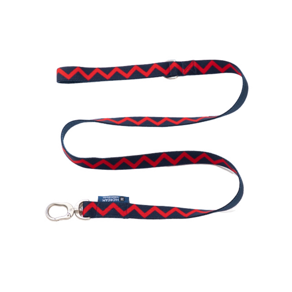 Rainbow Collection Dog Leash Blue