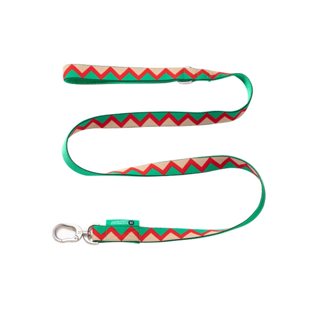 Rainbow Collection Dog Leash Green