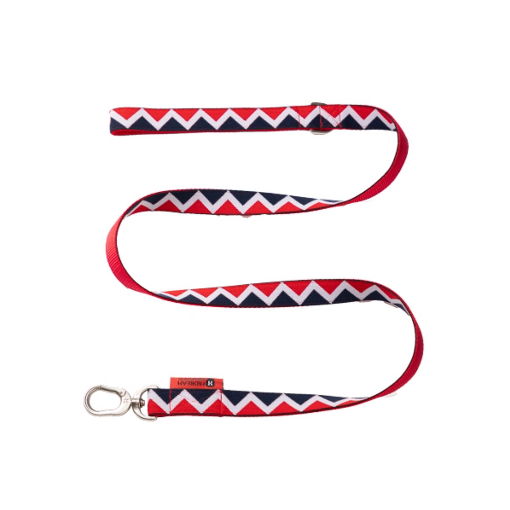 Rainbow Collection Dog Leash Red