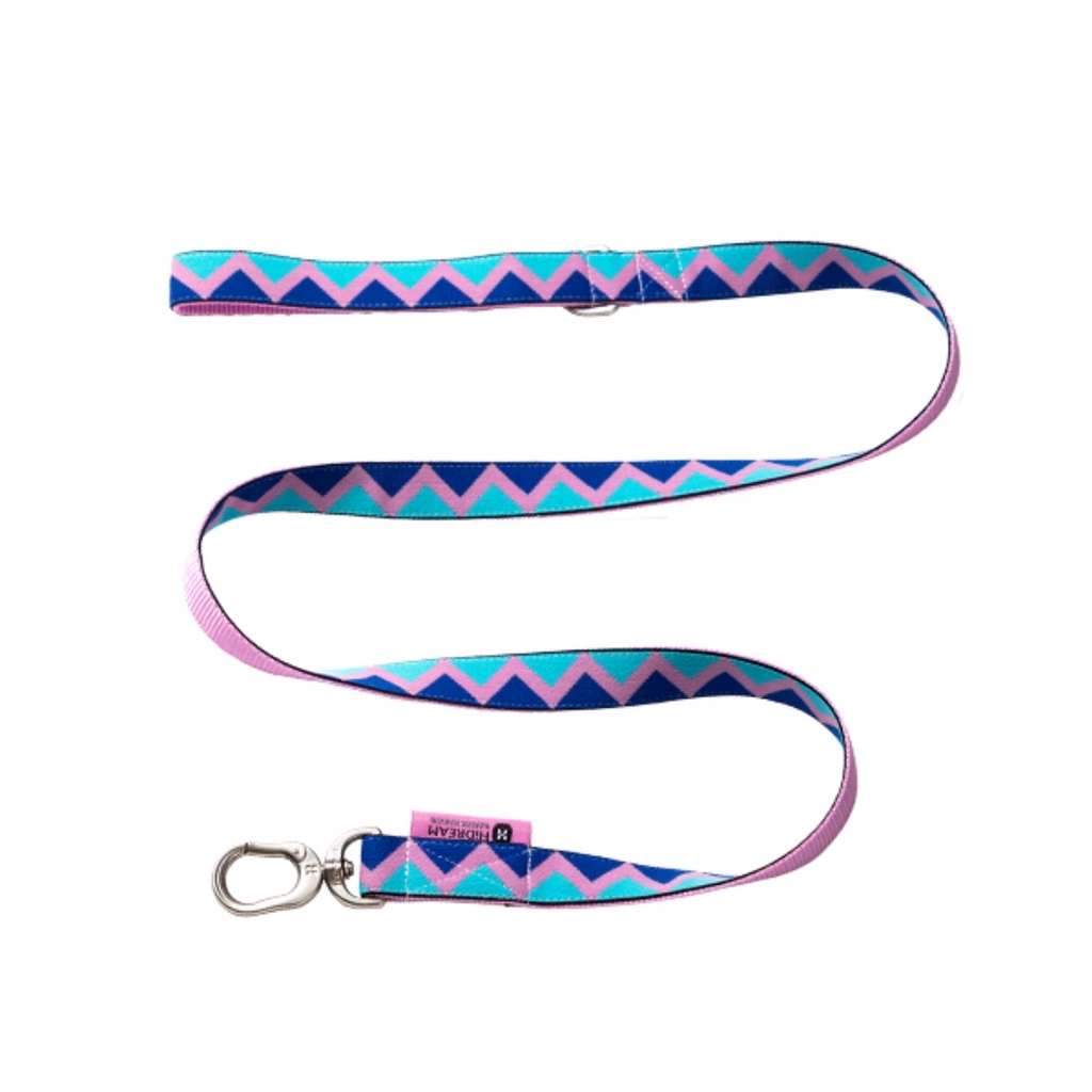 Rainbow Collection Dog Leash Pink