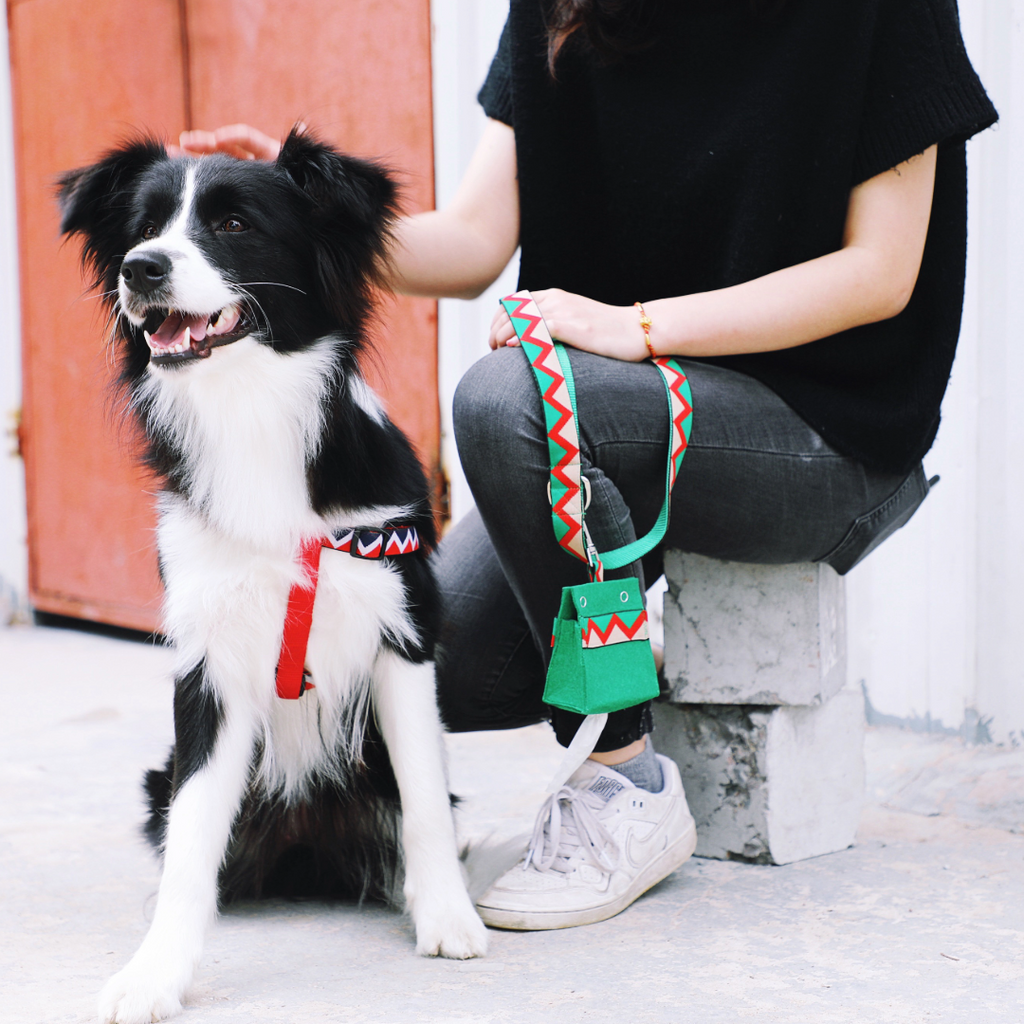 Rainbow Collection Dog Poop Bag Hanging Buckle can be attached to the dog leash