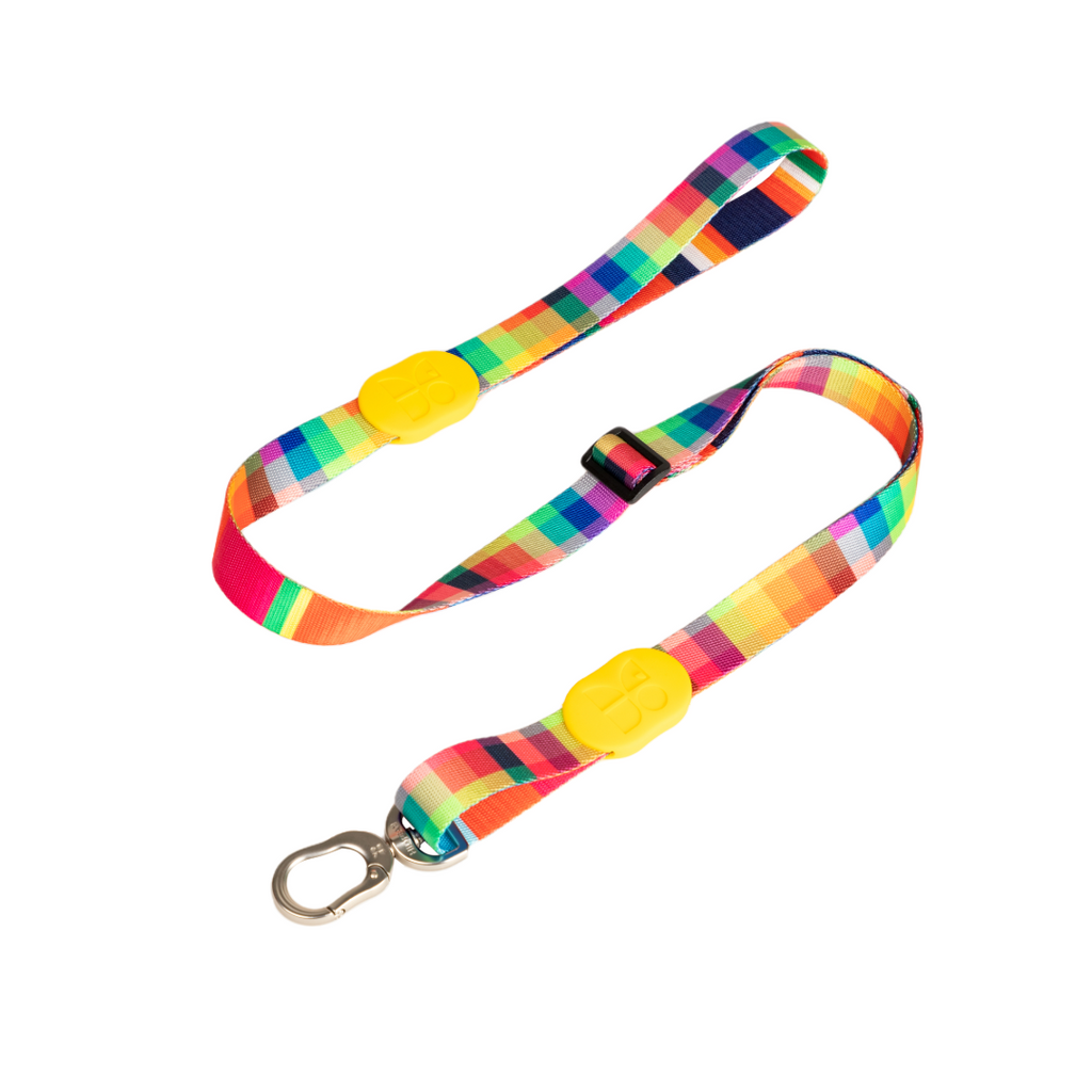 Cute Colorful Collection Dog Leash Prague