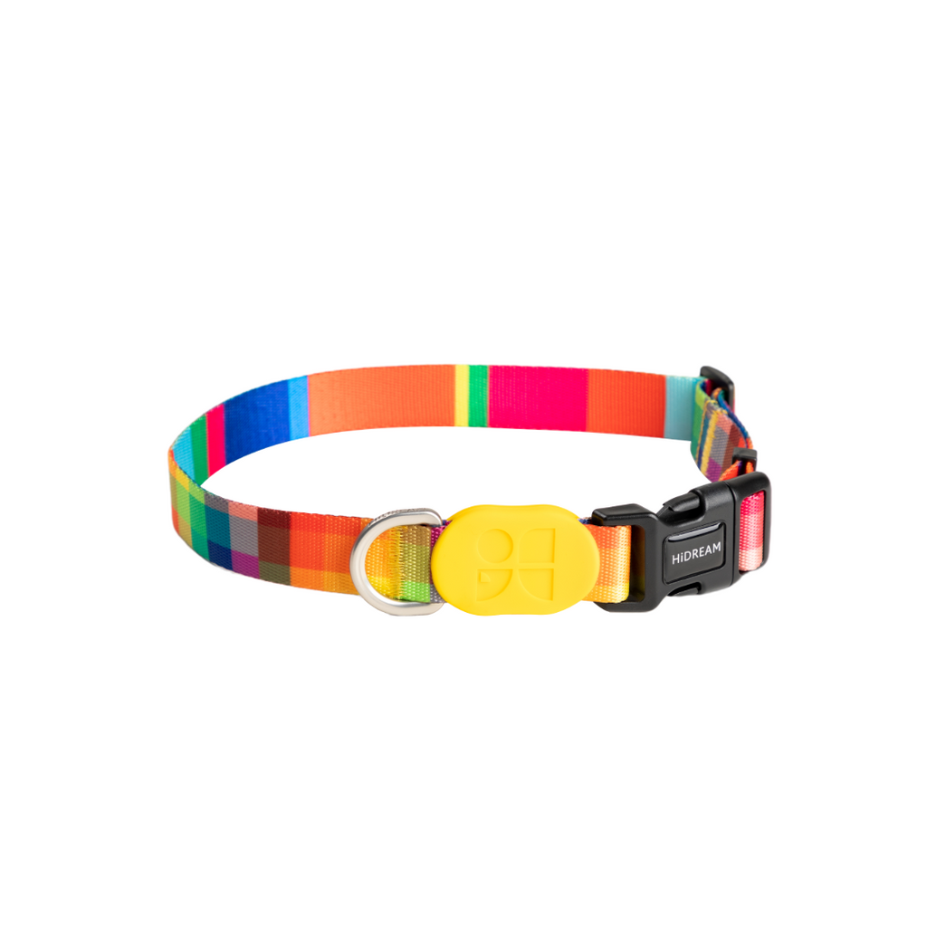 Cute Colorful Collection Dog Collar Prague