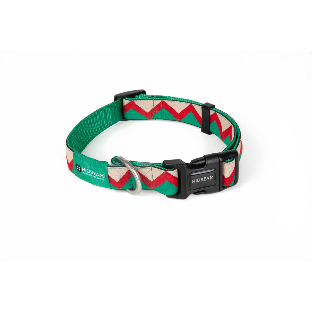 Rainbow Collection Adjustable Dog Collar Green