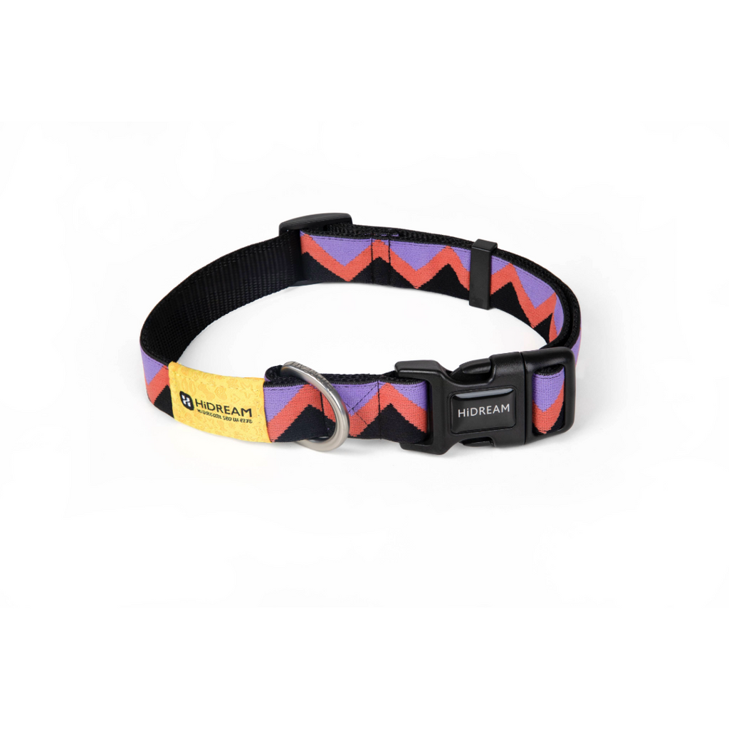 Rainbow Collection Adjustable Dog Collar Purple