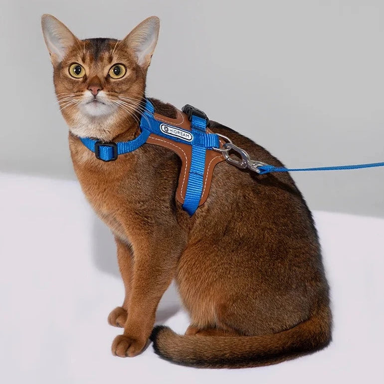 Leather Vest-style Cat Harness and Leash Set