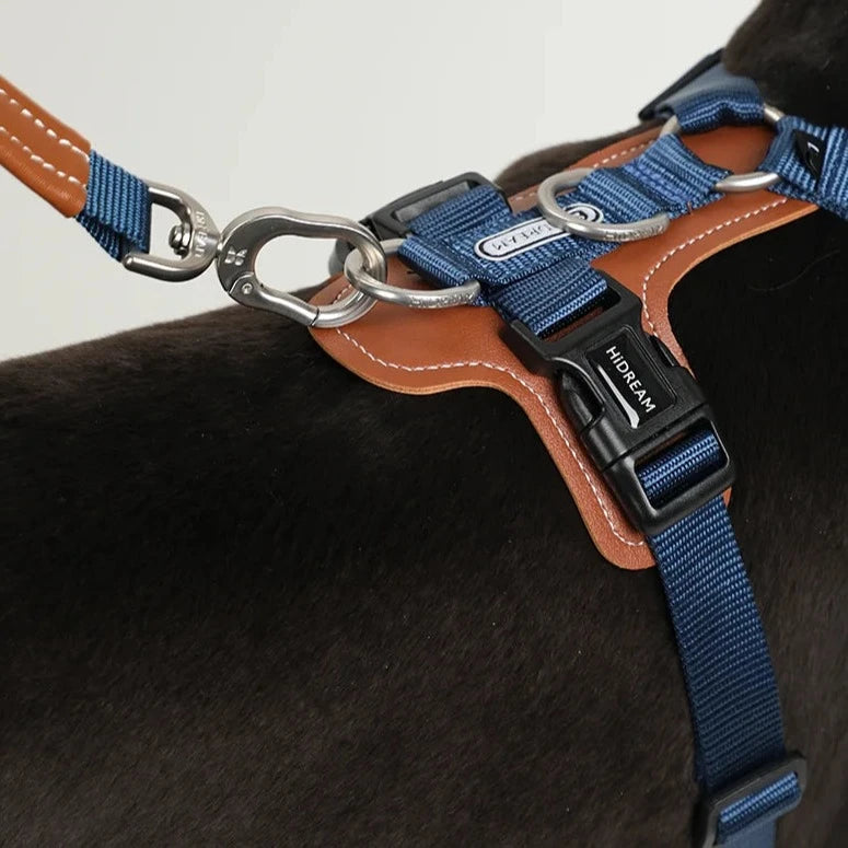 Comfort No-Pull Dog Harness and Leash Set Detail