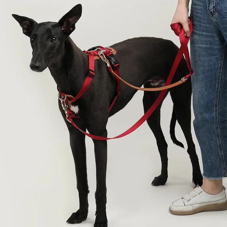 Comfort No-Pull Dog Harness and Leash Set Canada US