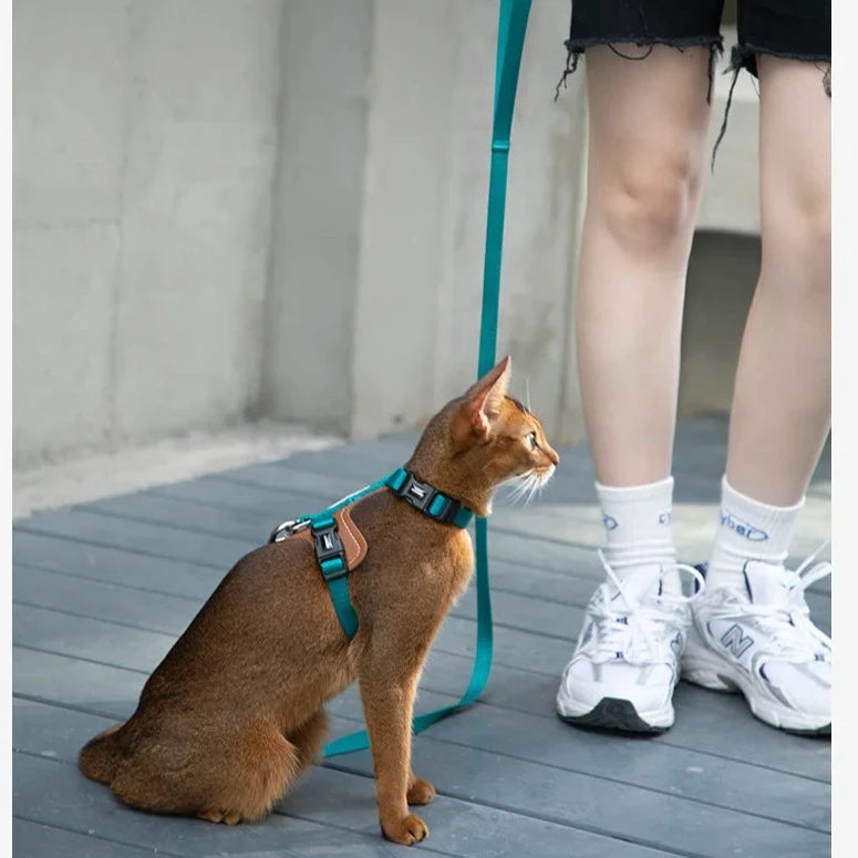 Leather Vest-style Cat Harness and Leash Set Sample