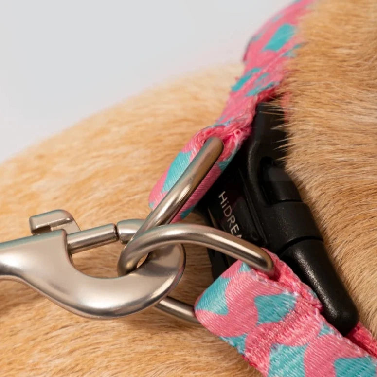Cute Colorful Collection Type Y Dog Harness Buckle