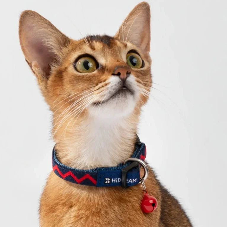 Designer Adjustable Colorful Cute Cat Collar Canada US