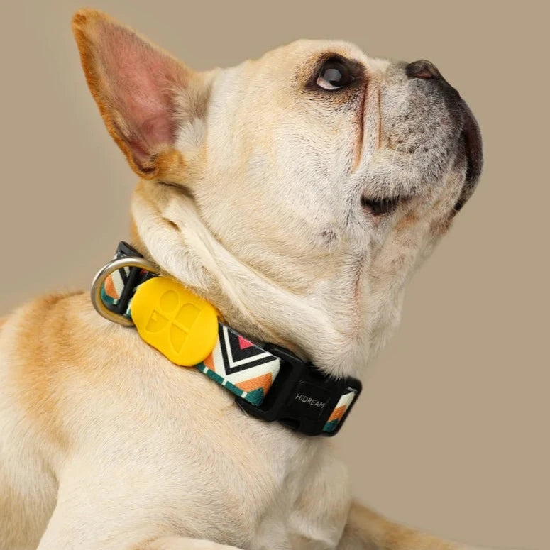 Cute Colorful Collection Dog Collar