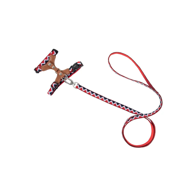 Leather Light Cat Harness and Leash Set Red