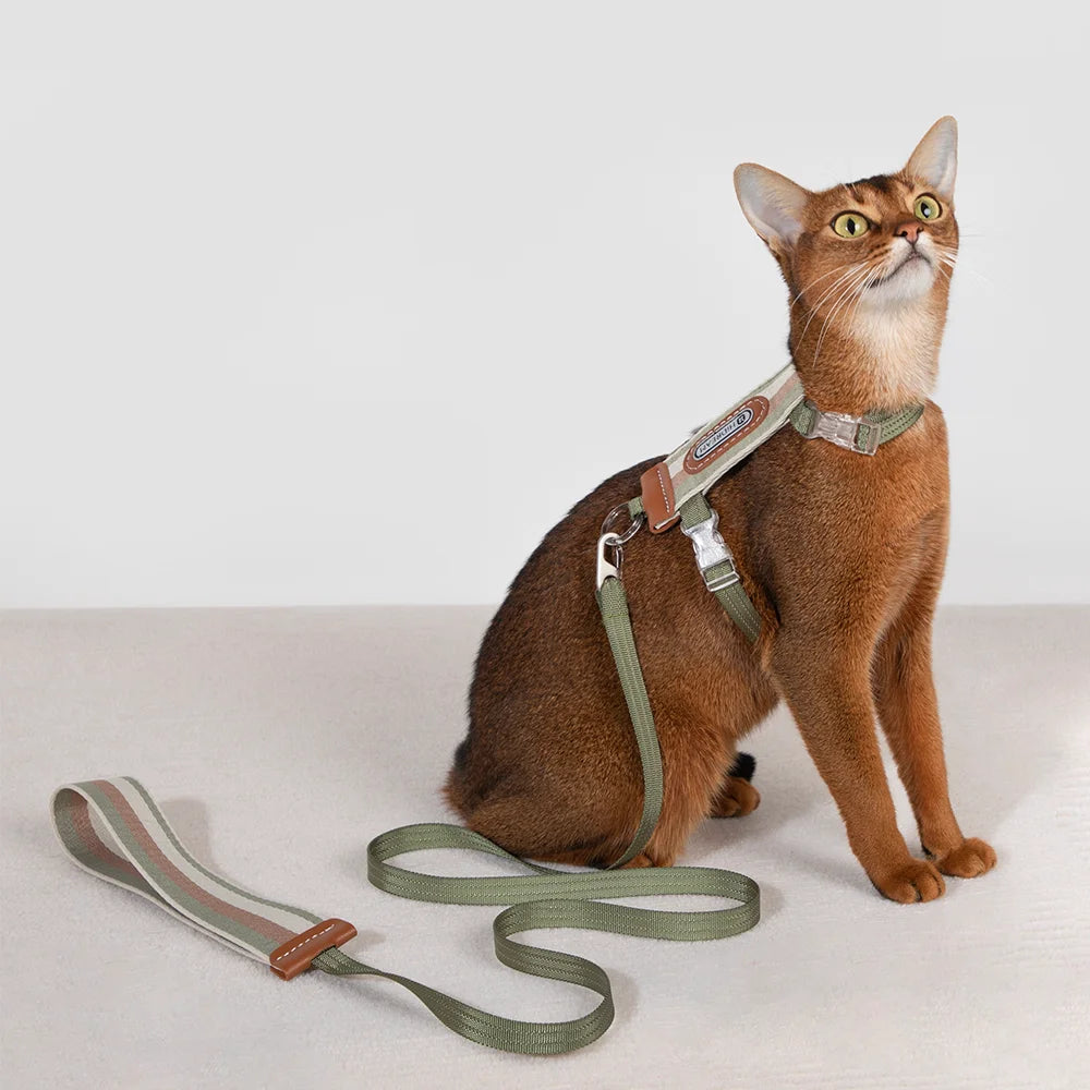 Rainbow Cat Harness and Leash Set