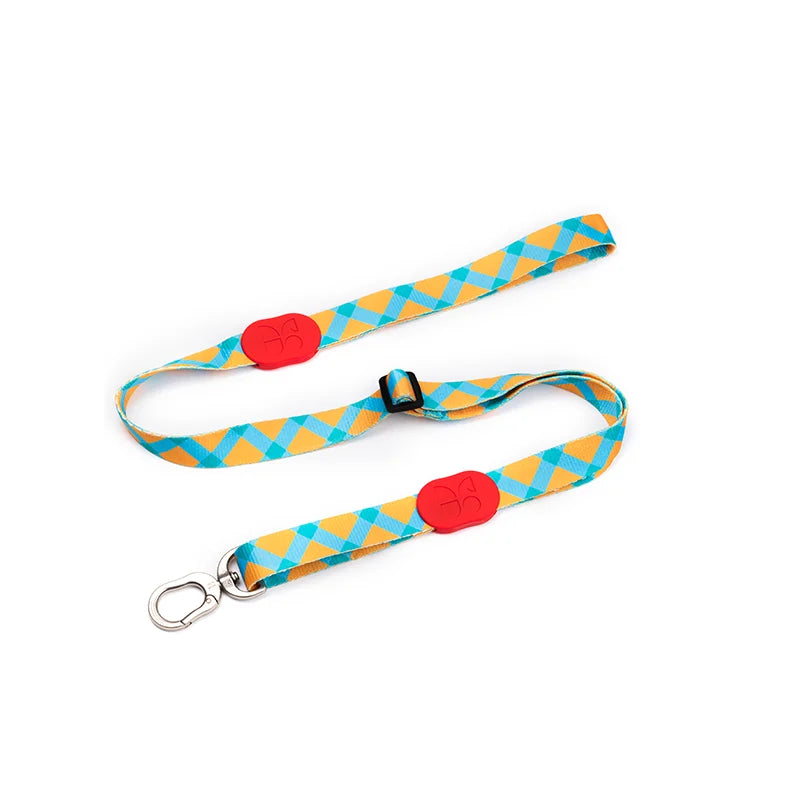 Cute Colorful Collection Dog Leash Sunrise