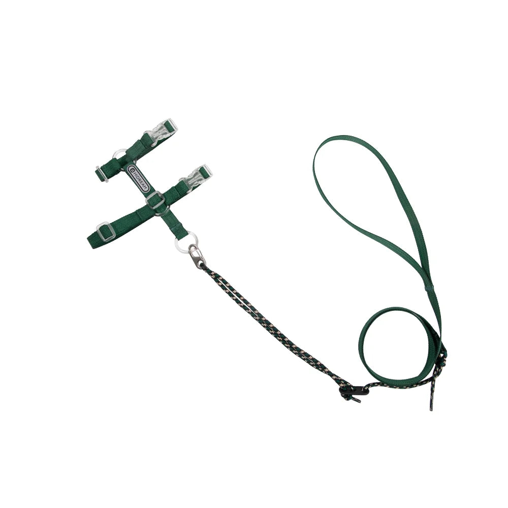 Explorer Cat Harness and Leash Set Green