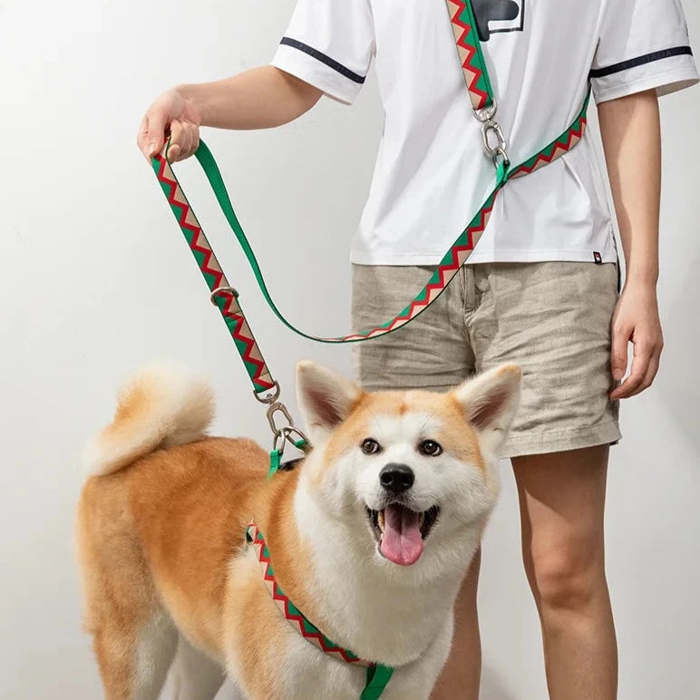 Rainbow Collection Multi-Style Hands-Free Dog Leash Canada US