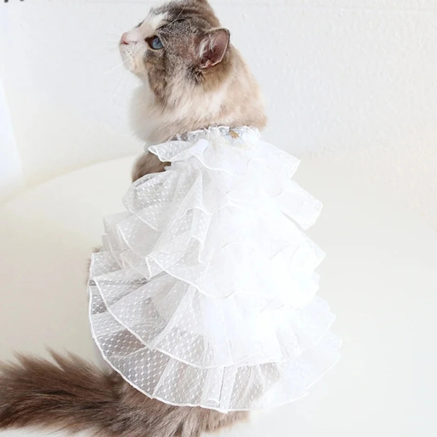 Best for IG TT] Cute Paws Pet Wedding Dress For Small Puppy and Kitty –  Paws the Life