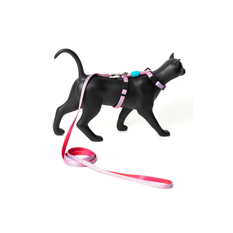 Color Castle Cat Harness and Leash Set Bobby