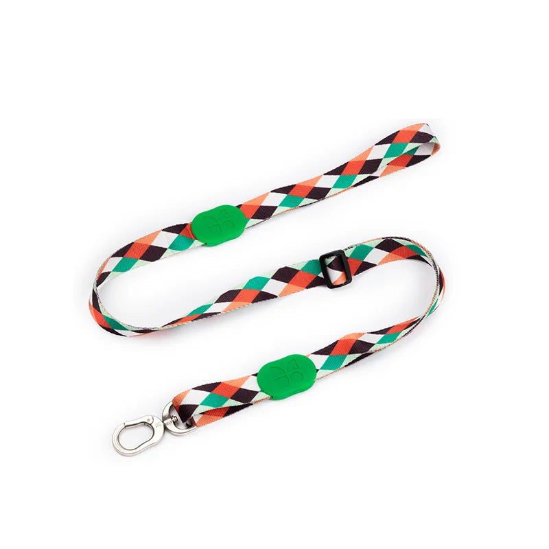 Cute Colorful Collection Dog Leash Pop Art