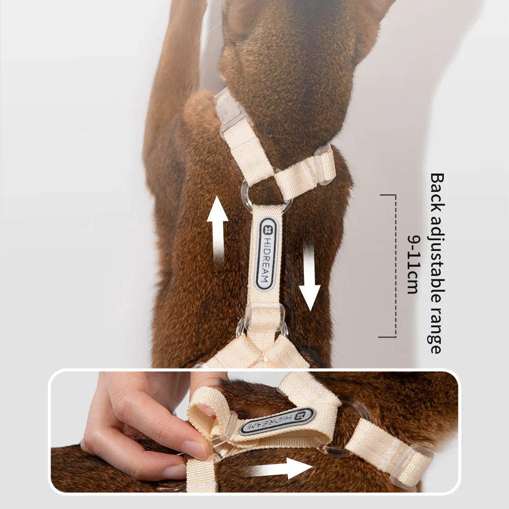 Explorer Cat Harness and Leash Set Detail