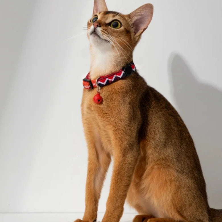 Designer Adjustable Colorful Cute Cat Collar