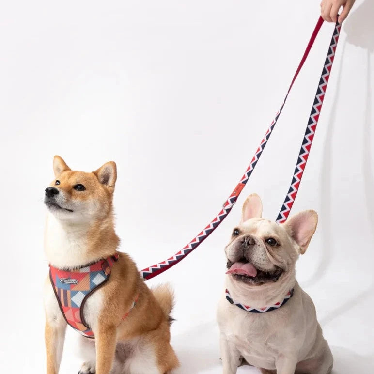 Rainbow Collection Multi-Style Hands-Free Dog Leash