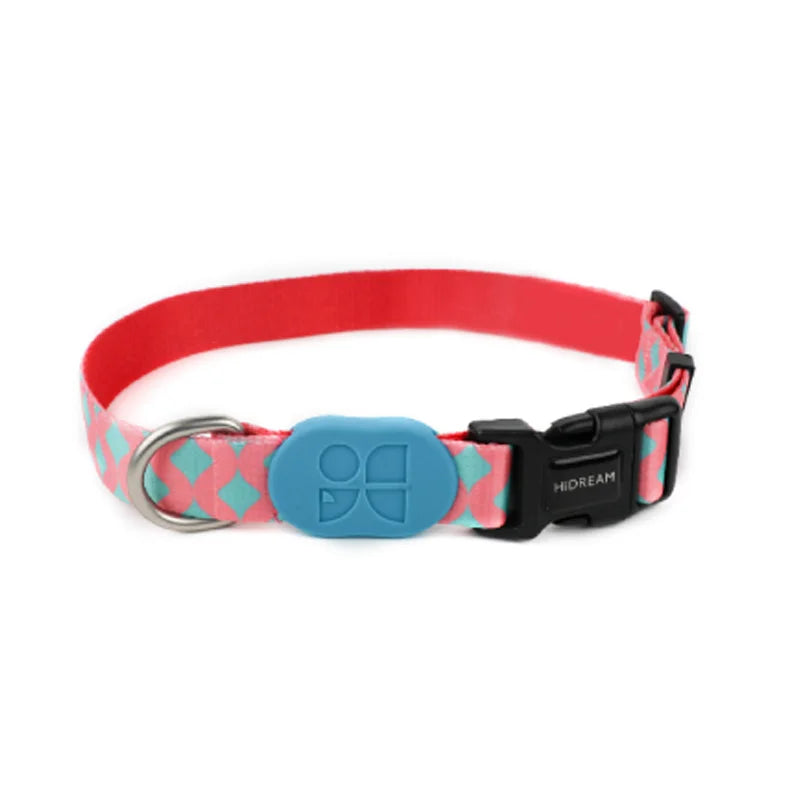 Cute Colorful Collection Dog Collar Bobby