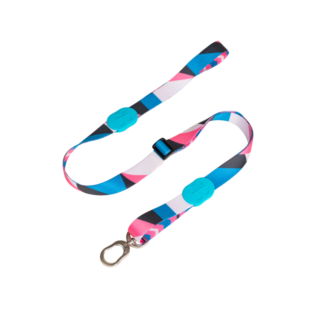 Cute Colorful Collection Dog Leash Saint Lucia