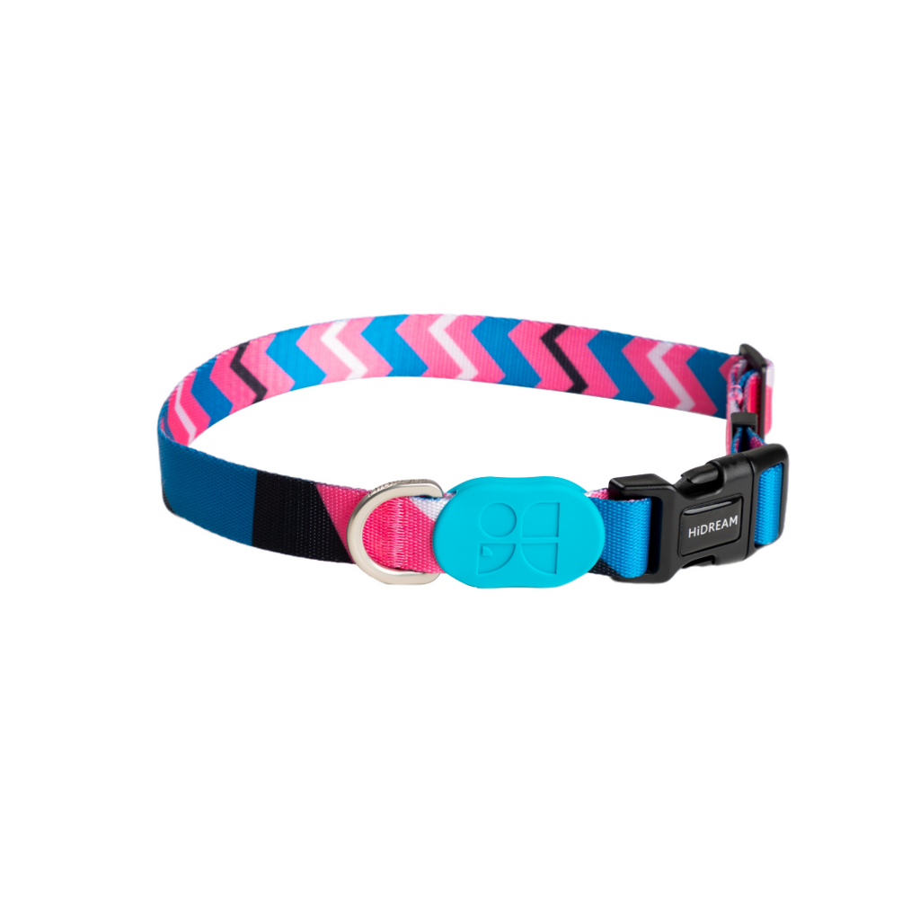 Cute Colorful Collection Dog Collar Saint Lucia