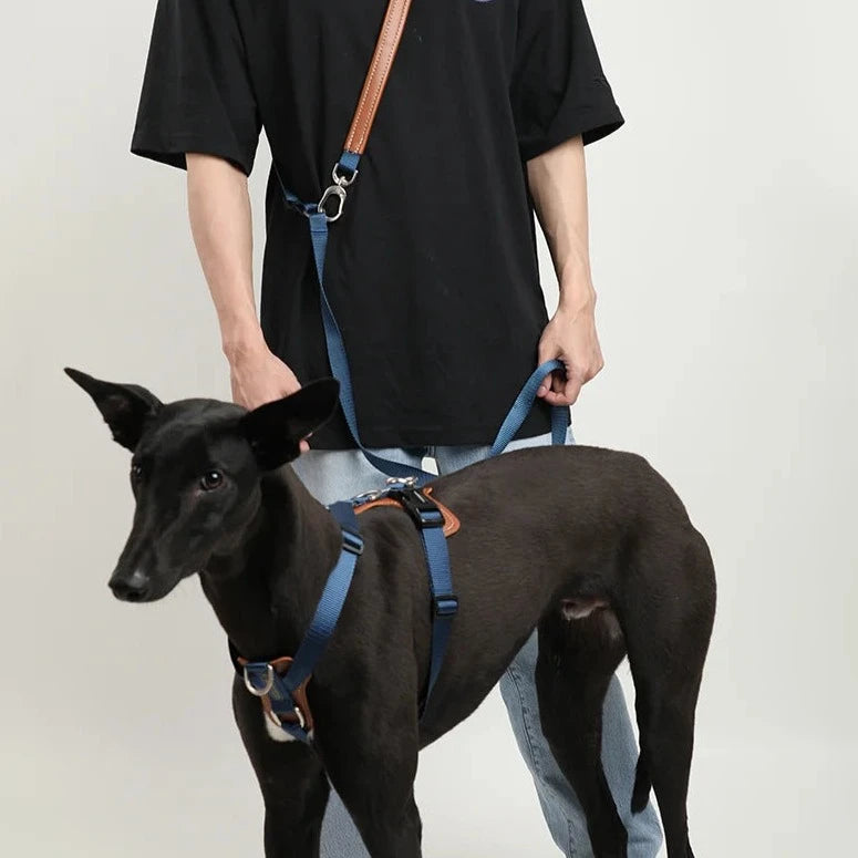 Comfort No-Pull Dog Harness and Leash Set