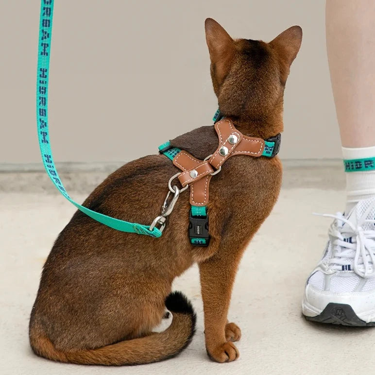 Leather Light Cat Harness and Leash Set