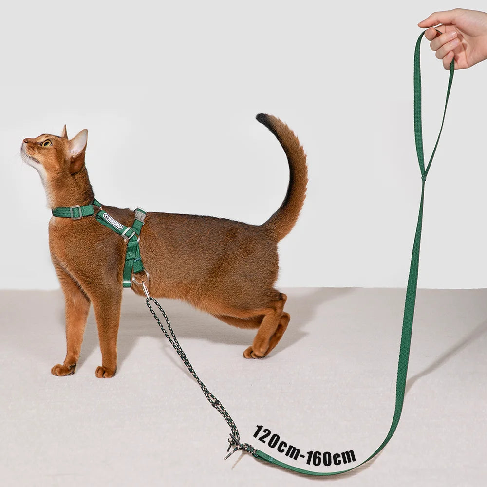 Explorer Cat Harness and Leash Set Length