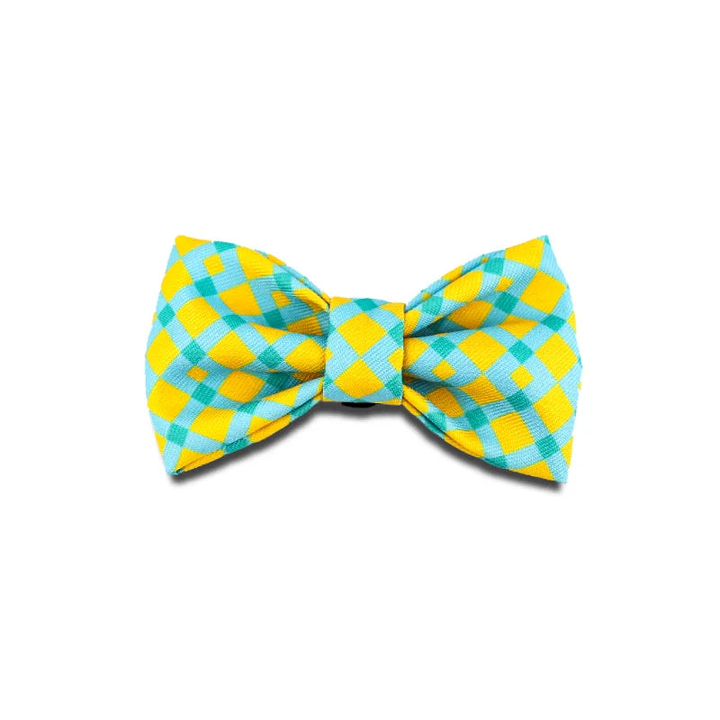 Dog and Cat Cute Colorful Collection Bow Ties Sunrise