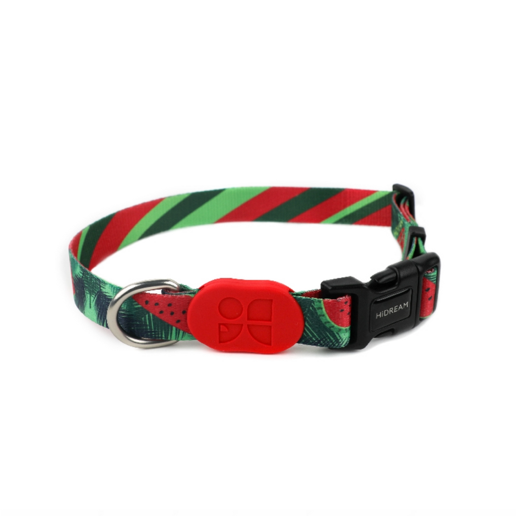 Cute Colorful Collection Dog Collar Watermelon